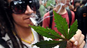 California  a punto de legalizar la marihuana