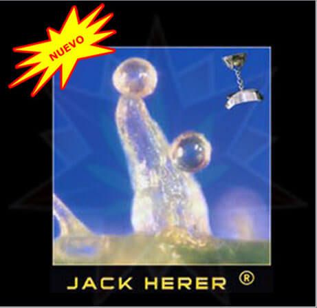 jack herer feminizada Jack Herer | Greenhouse Seeds 