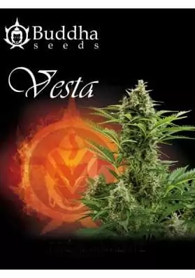 VESTA