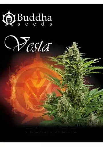 VESTA