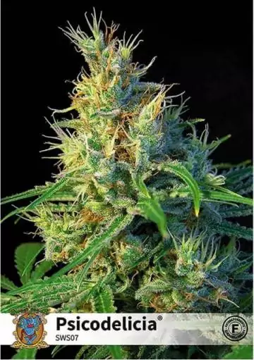 PSICODELICIA