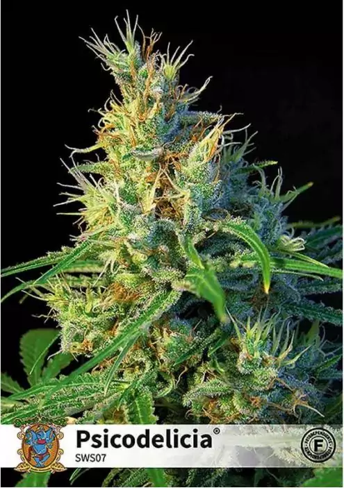 PSICODELICIA