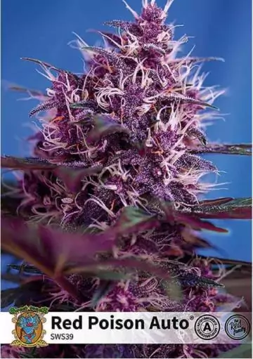 RED POISON