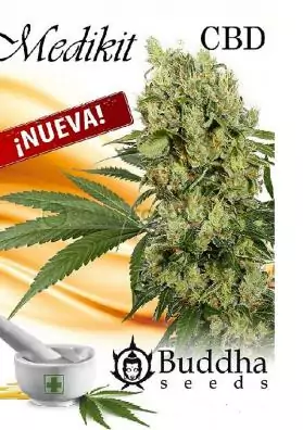 MARIHUANA MEDIKIT AUTO CBD