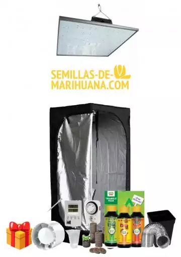 KIT ARMARIO LED BARATO MINI