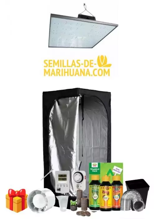 KIT ARMARIO LED MEDIUM