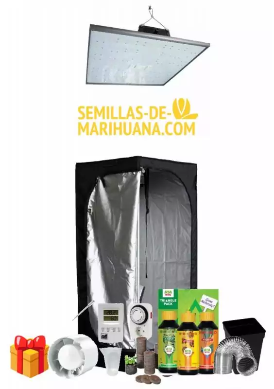 KIT ARMARIO LED MEDIUM