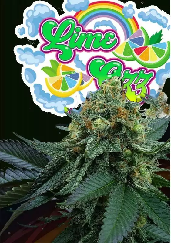 LIME OZZ