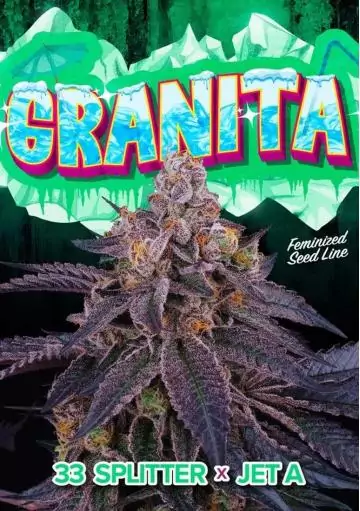 GRANITA