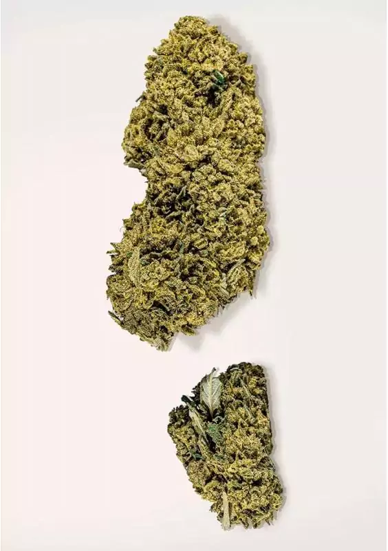 COOKIES CBD