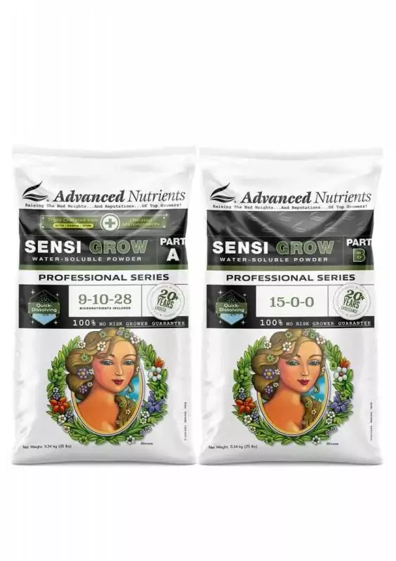 SENSI GROW A+B POLVO