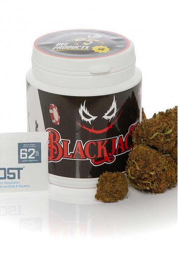 Black Jack CBD Hemp Buds