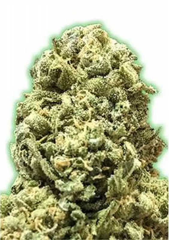 Monster Girl Scout Cookies strain