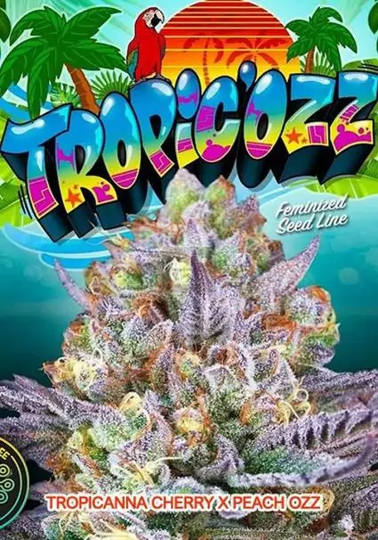 TROPICOZZ