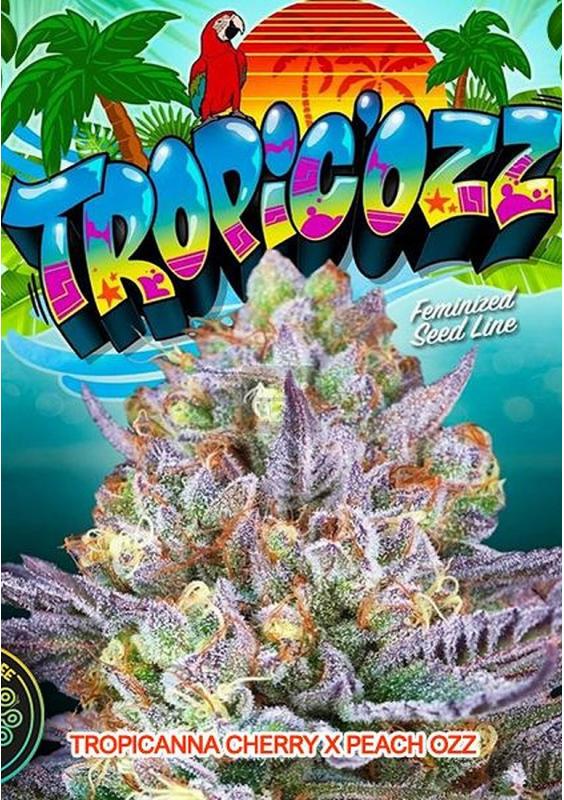 TROPICOZZ