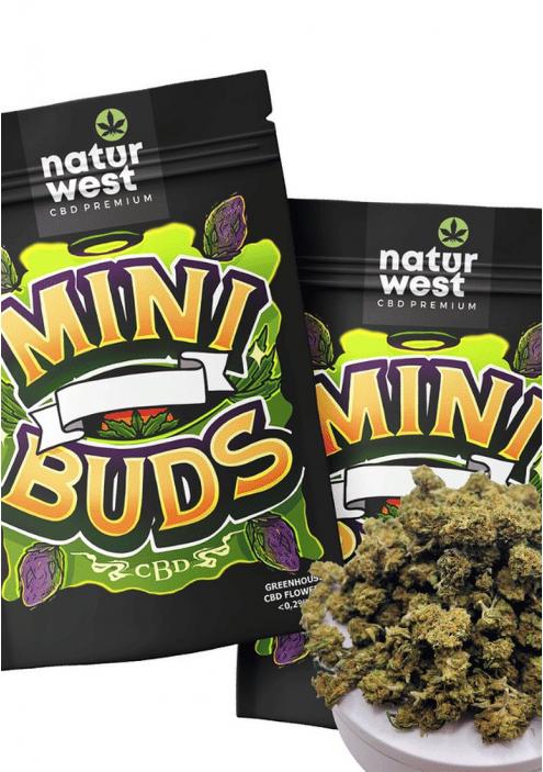 MINI BUDS ‘Royal Cheese’ by Naturwest