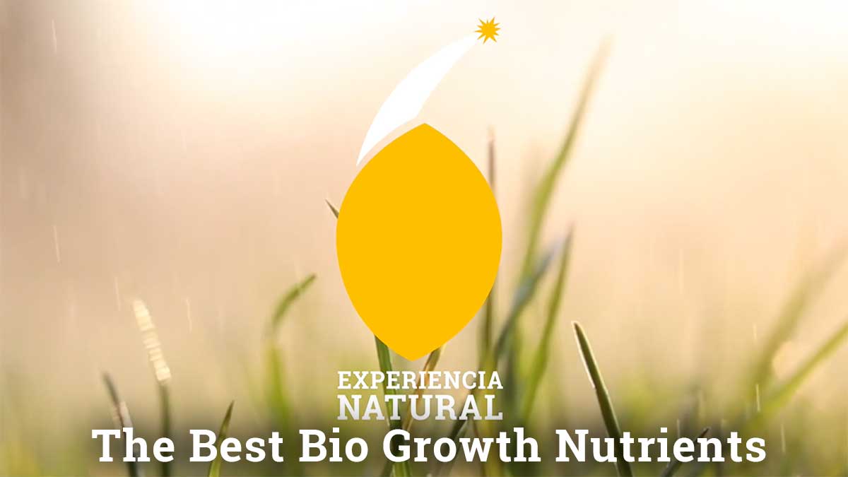 The Best Bio Growth Nutrients