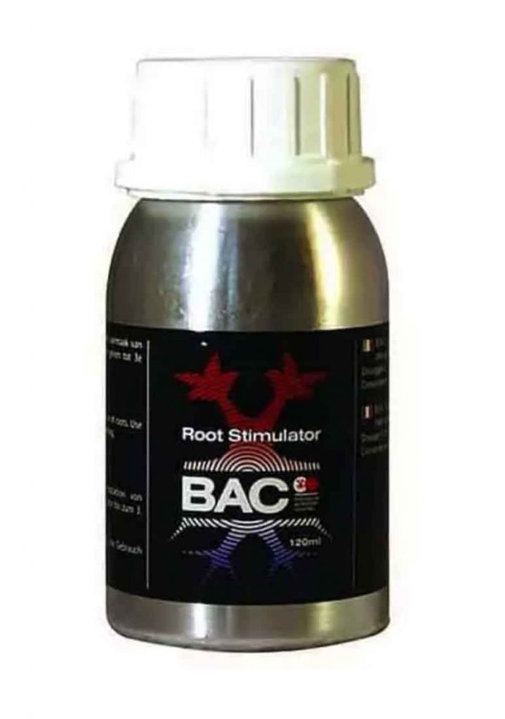best root stimulator