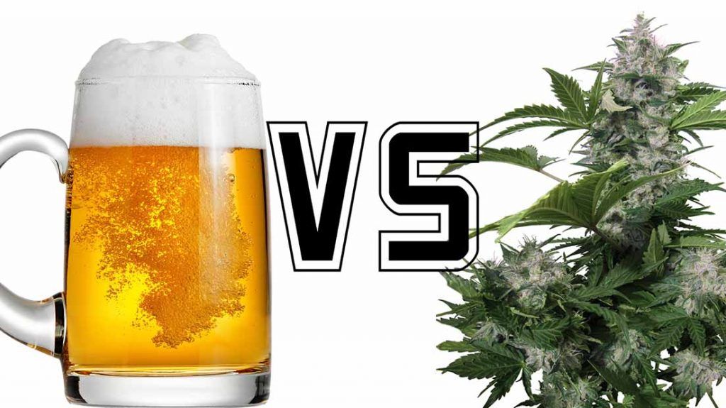 Alcohol Vs Cannabis ¿Cuál Es La Droga Más Peligrosa?