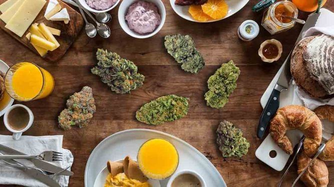 Recetas marihuana archivos