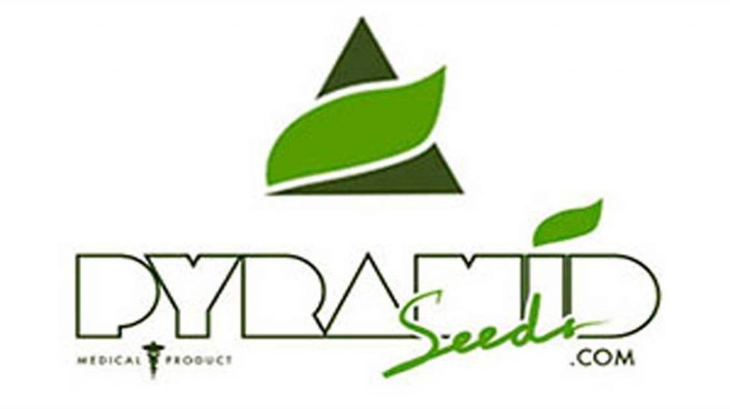 Pyramid Seeds es un banco de semillas español de primera división.