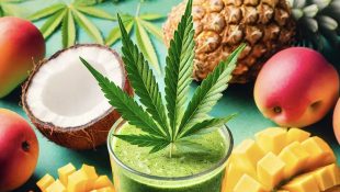 Imagen de un batido verde con frutas tropicales y cannabis en un ambiente relajado y tropical, inspirado en la cultura reggae.