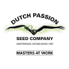 Buy cheap Dutch Passion feminized seeds | Dutch Passion feminized