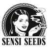 Sensi Seeds | Regular marijuana seeds