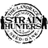 Strain Hunters feminized | Buy Marijuana Seeds