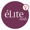 Buy cheap autoflowering Elite Seeds | Autoflowering seeds