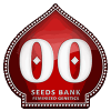 Comprar Semillas 00 Seeds feminizadas baratas | 00 Seeds feminizadas