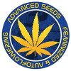 Advanced Seeds feminized | Buy cheap Advanced feminized seeds
