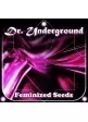 Dr. Underground
