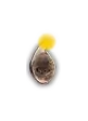 Baratas