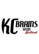 KC Brains