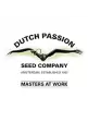 Dutch Passion