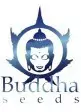 Buddha Seeds